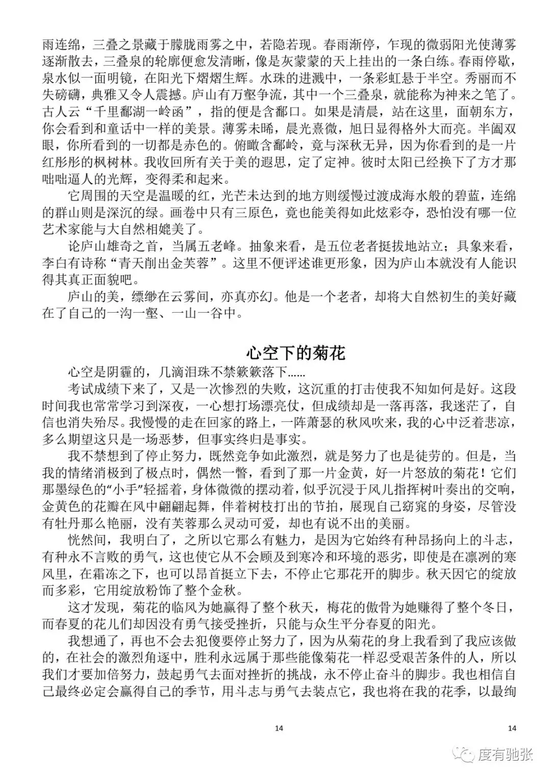 中考:高分作文集锦 第16张