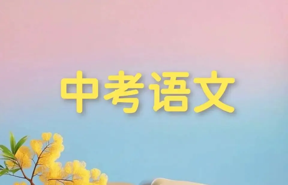 中考语文一轮复习必考名著知识点 第1张