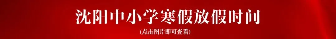 辽宁一地区发布2026年中考体育成绩评定标准!沈阳的体测项目及对应分值都有哪些? 第13张