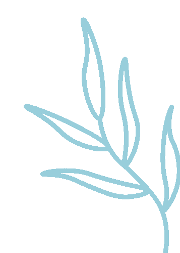 【2026年上海中考数学一模】「客观压轴题」 第11张