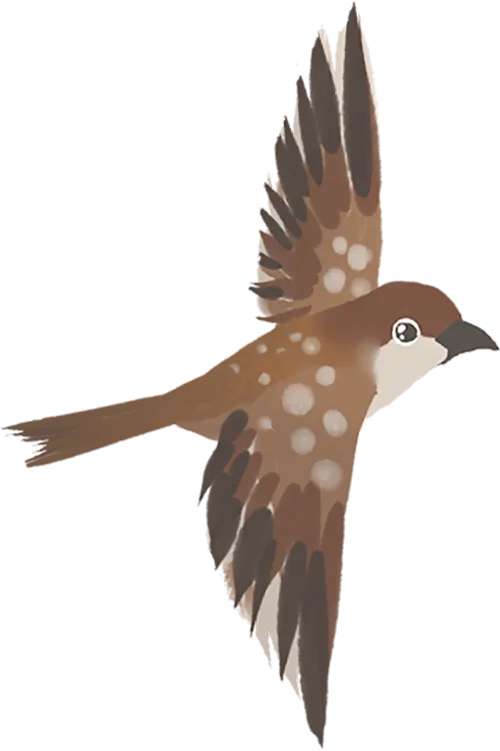 【最新2026年中考总复习】文学作品阅读:散文阅读·考点讲解、训练(课件) 第10张