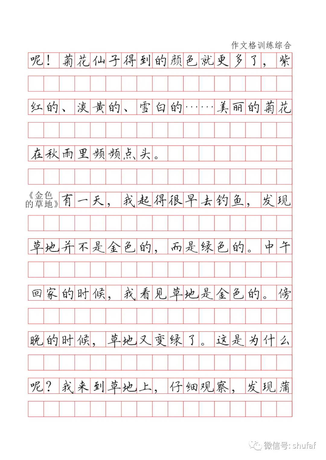 中考高考语文卷面提分训练,文章段落作文格练习字帖 第9张