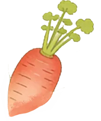 第1916期【尚宁芳专栏】中考语文,假期可以这样做 第4张