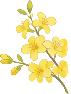 第1916期【尚宁芳专栏】中考语文,假期可以这样做 第5张