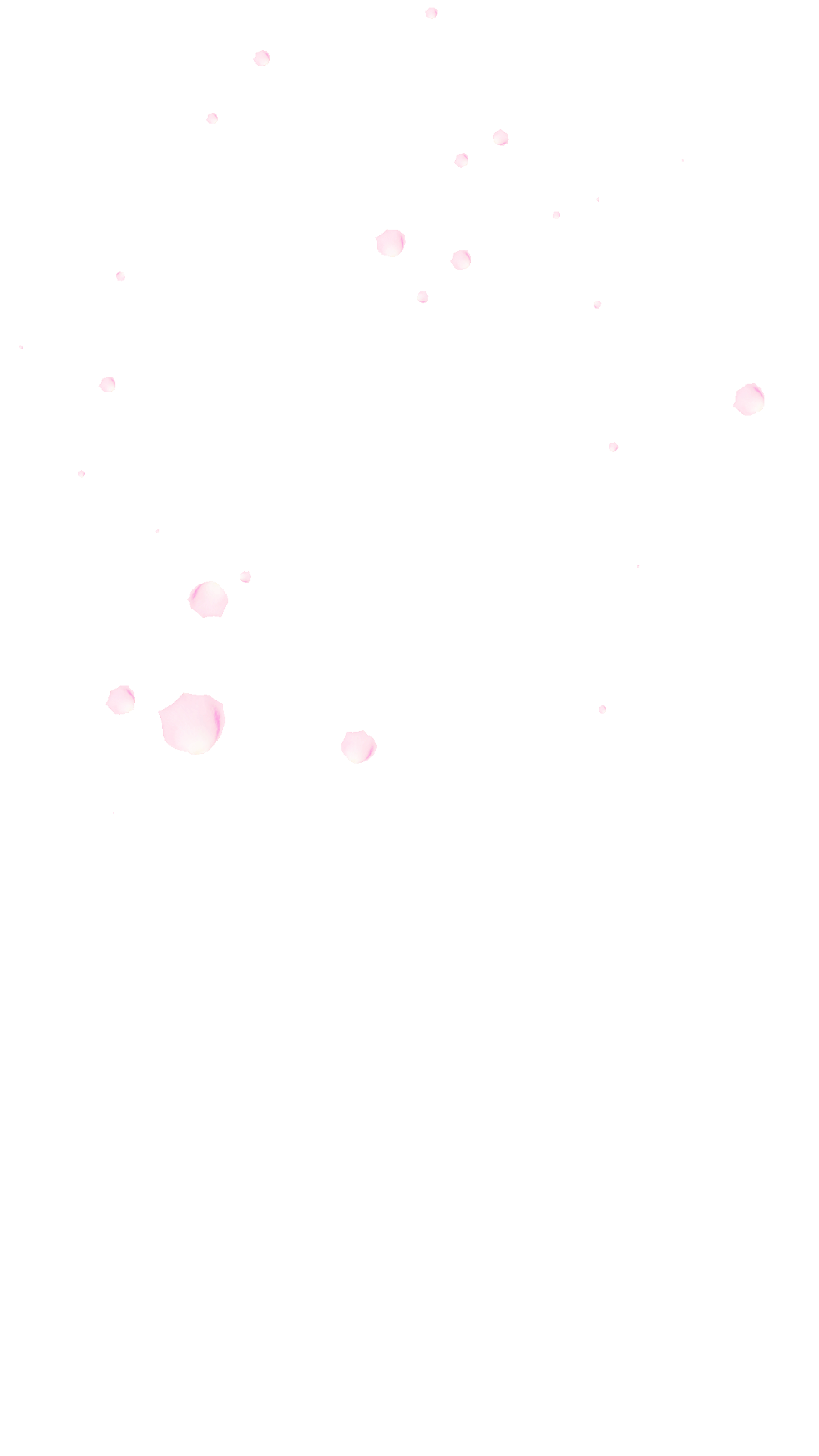 第1916期【尚宁芳专栏】中考语文,假期可以这样做 第6张