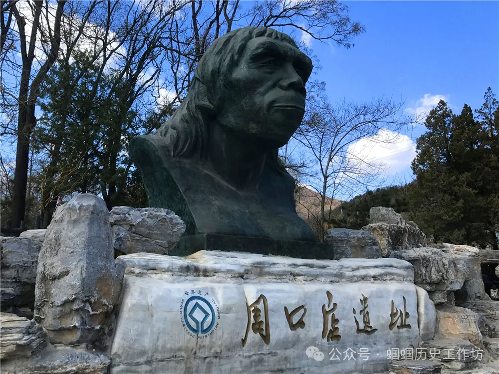 2026年中考观点论述阐释题专练 第29张