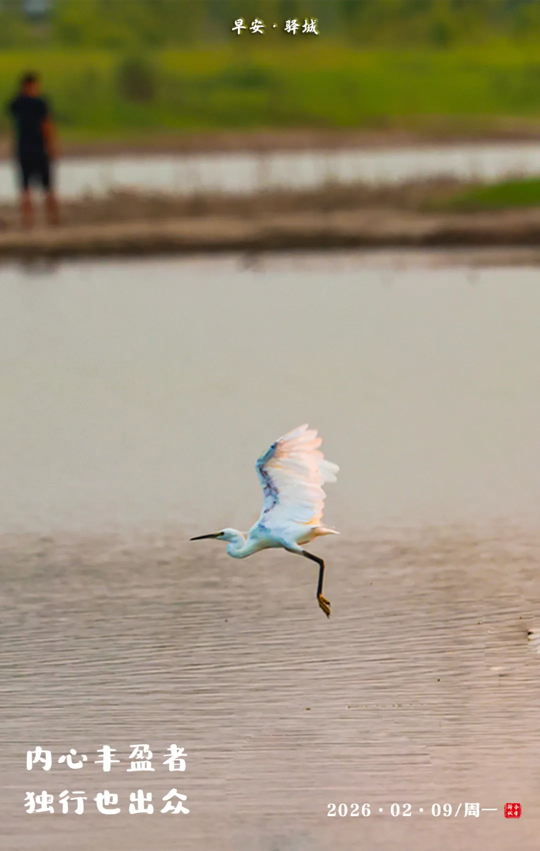 教育部将有序推进中考改革丨早安•驿城 第3张 教育部将有序推进中考改革丨早安•驿城 第3张