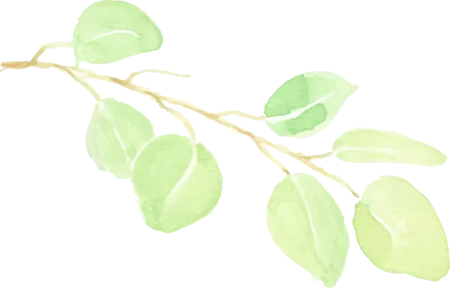 【中考复习】第五章第1节多边形与正多边形 第2张 【中考复习】第五章第1节多边形与正多边形 第2张