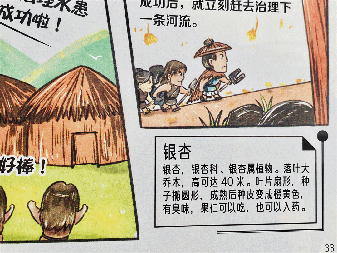 儿子被＂中考分流＂,我才明白:12岁前,父母别漏做这件事 第14张