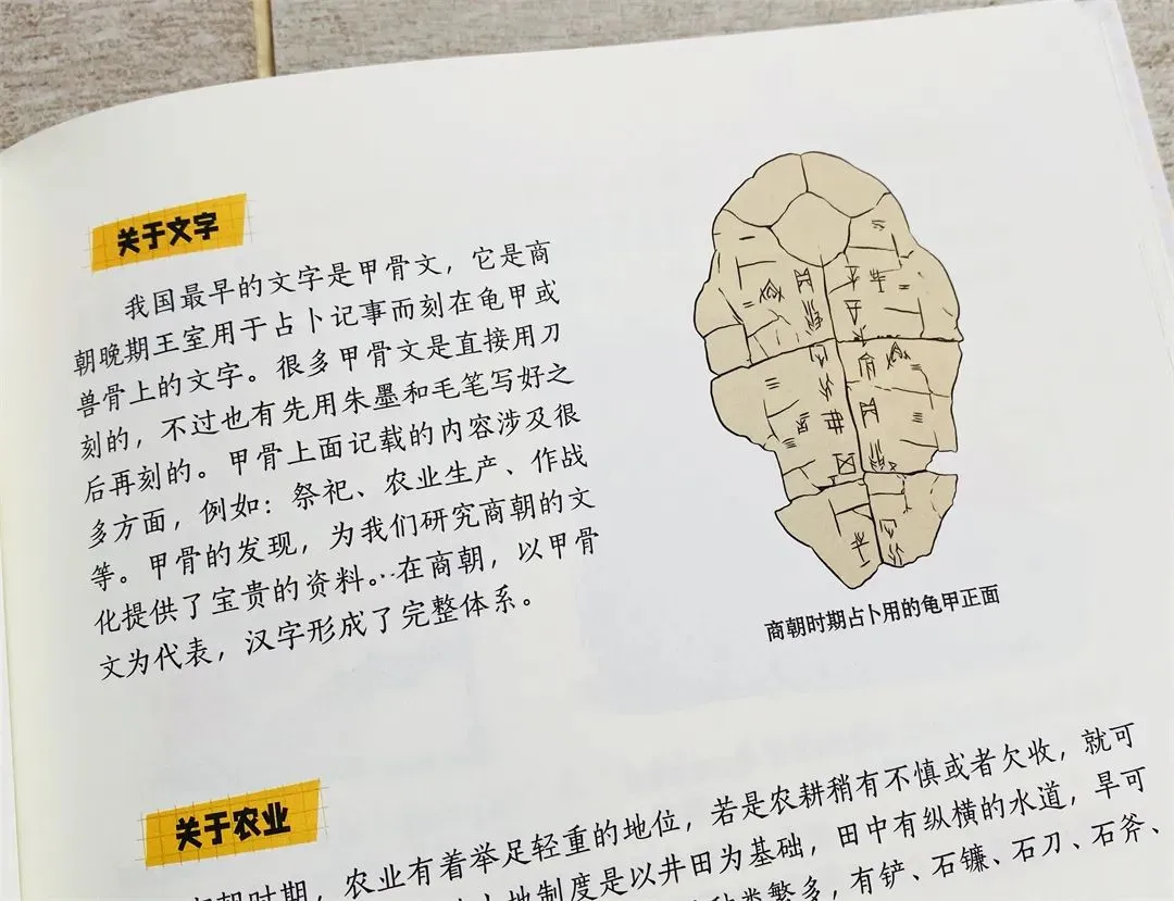 儿子被＂中考分流＂,我才明白:12岁前,父母别漏做这件事 第41张