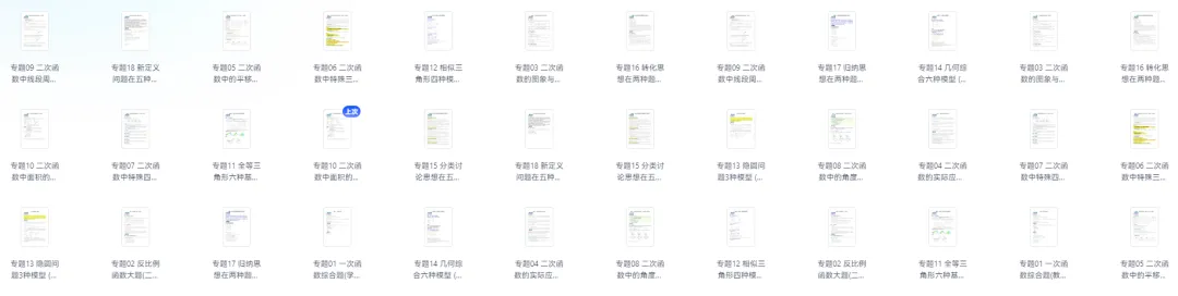 2026版中考数学《压轴题专项训练》 第1张