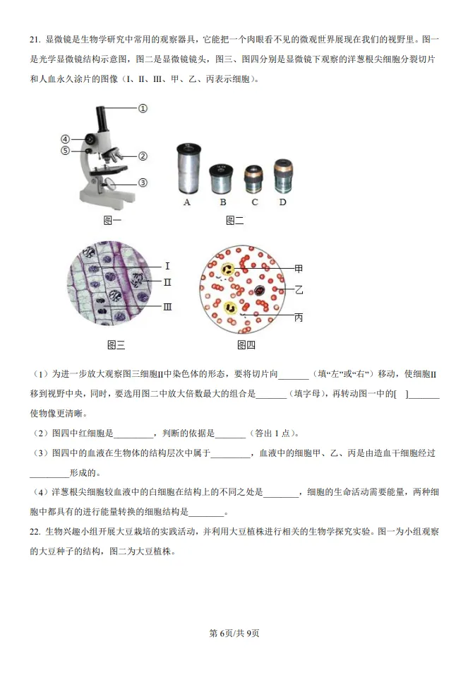 山东五四制中考水平测试生物真题 | 2025年枣庄市初中学业水平考试生物试题| 高清版,带答案 第6张