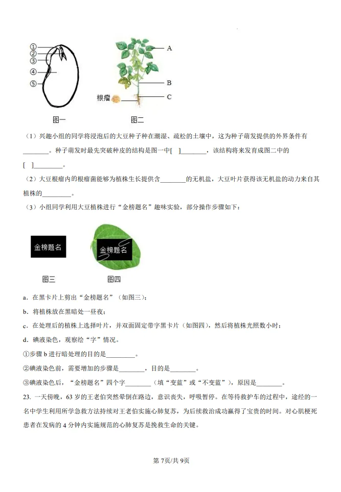 山东五四制中考水平测试生物真题 | 2025年枣庄市初中学业水平考试生物试题| 高清版,带答案 第7张
