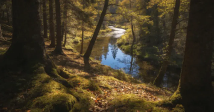 中考倒计时,情绪也进入了高压高 第2张