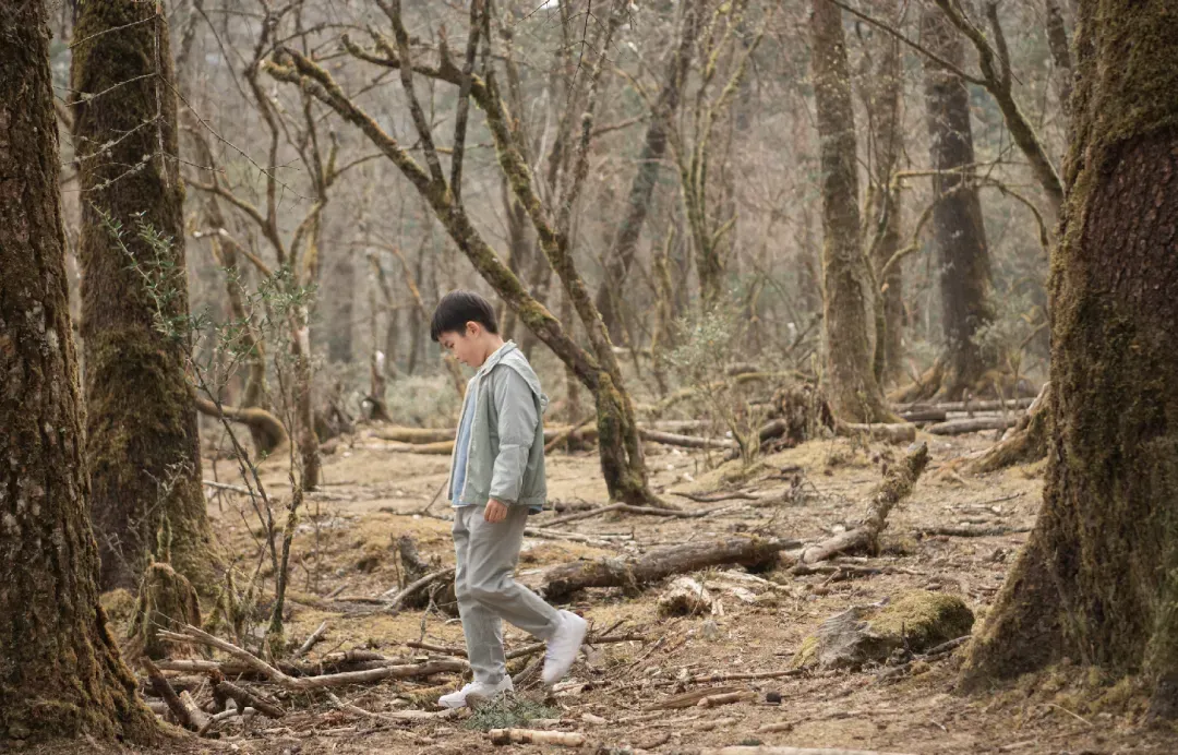 要是中考分流真取消,孩子面对的挑战反而更明牌了 第14张