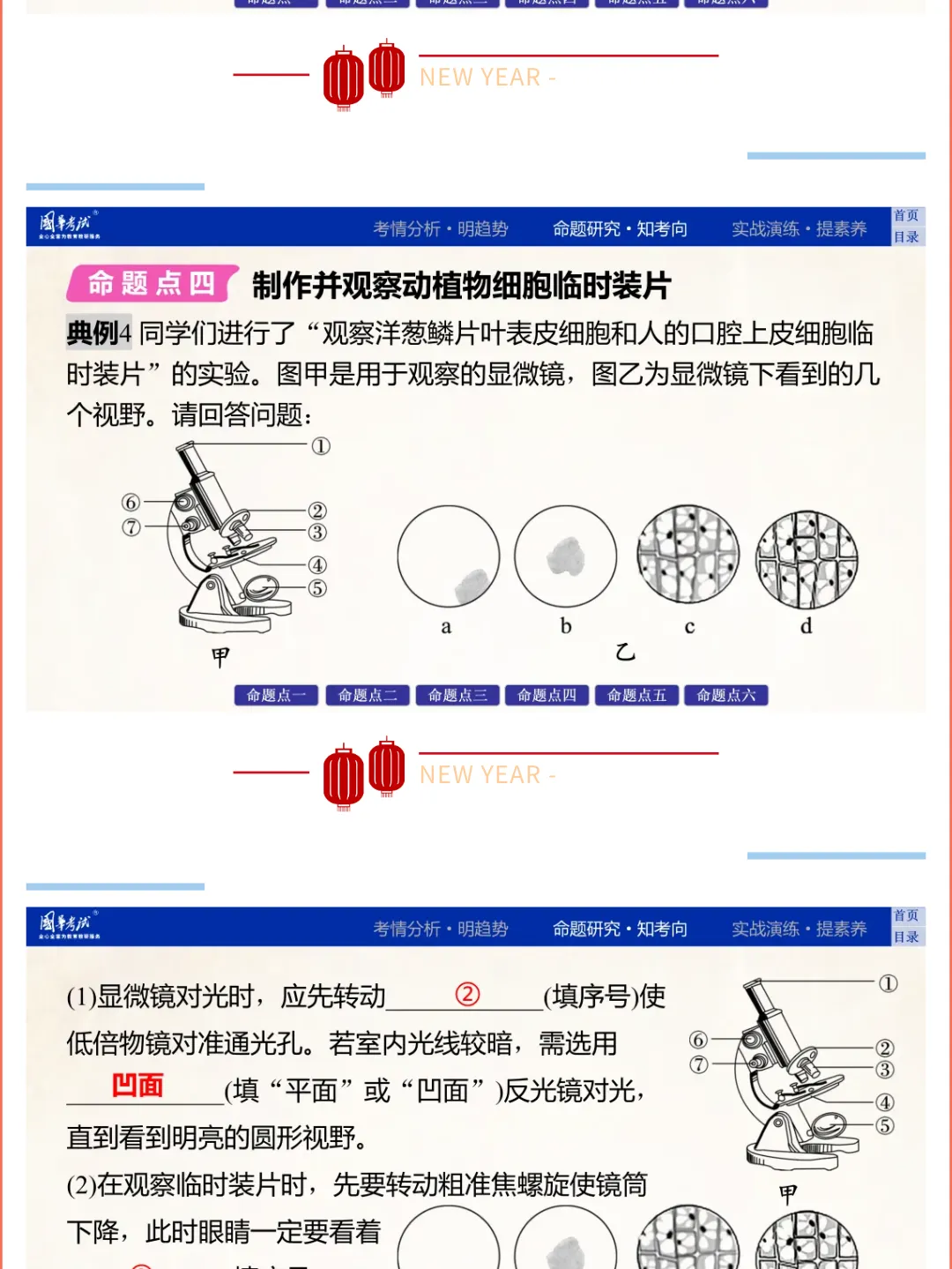 2026湖北版《解密中考• 生物》专题一 生物体的结构层次 第9张