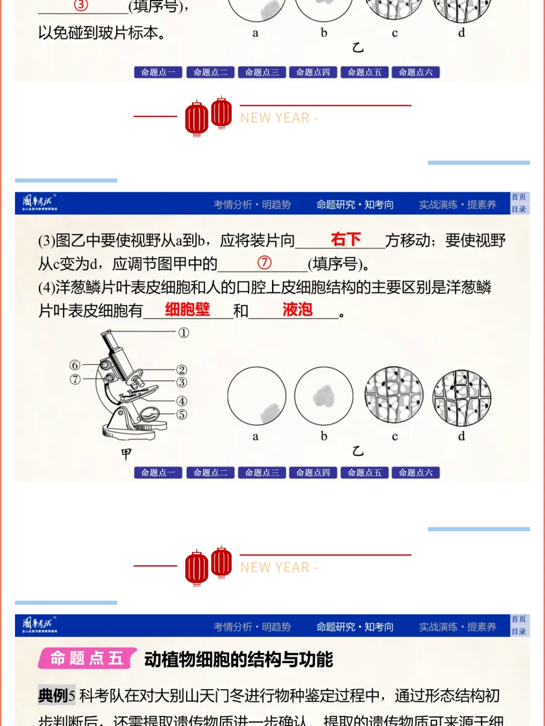 2026湖北版《解密中考• 生物》专题一 生物体的结构层次 第10张