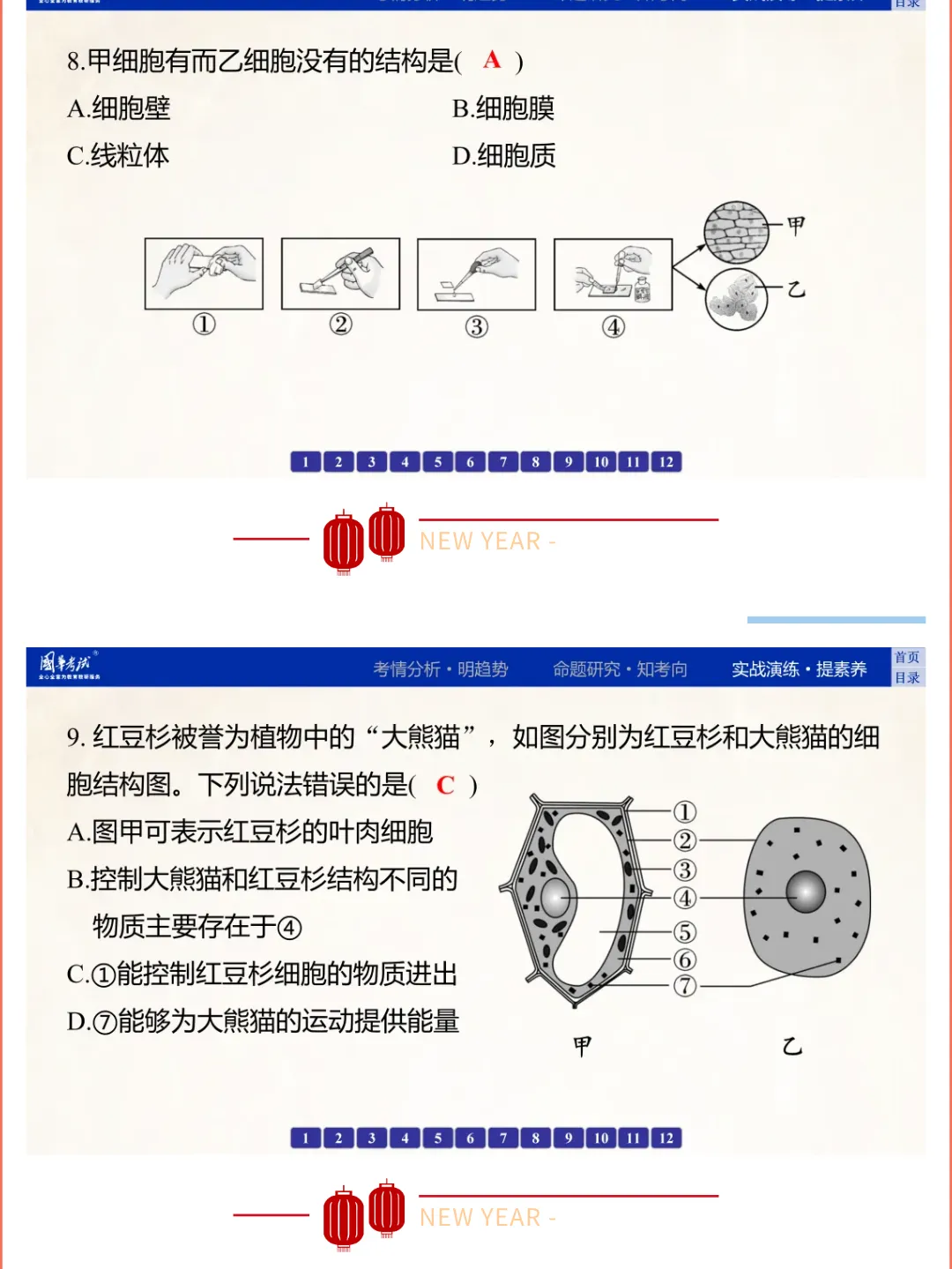 2026湖北版《解密中考• 生物》专题一 生物体的结构层次 第17张