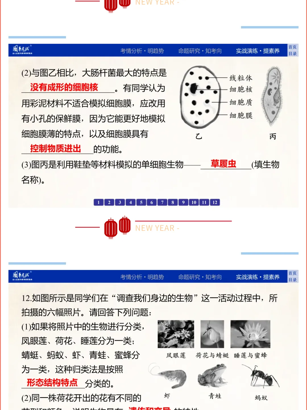 2026湖北版《解密中考• 生物》专题一 生物体的结构层次 第19张