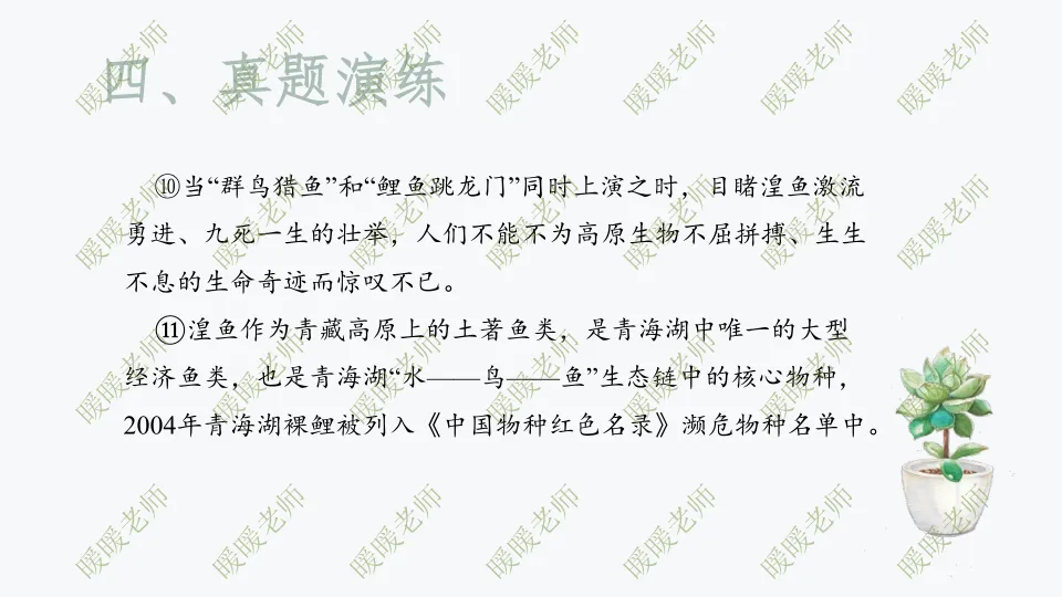 中考复习——说明文题型与技巧 第17张