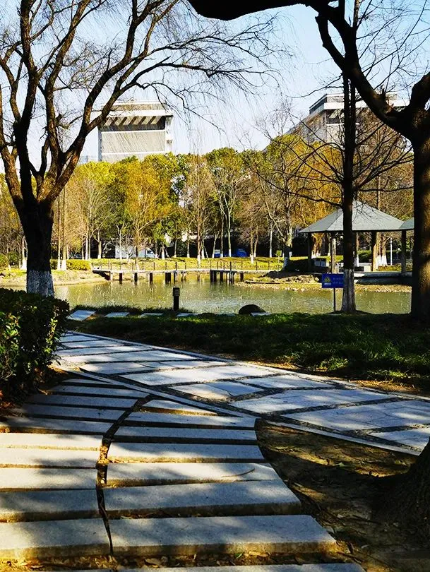 天津中考体育分值和测试项目(附宣传片+健康卡) 第21张