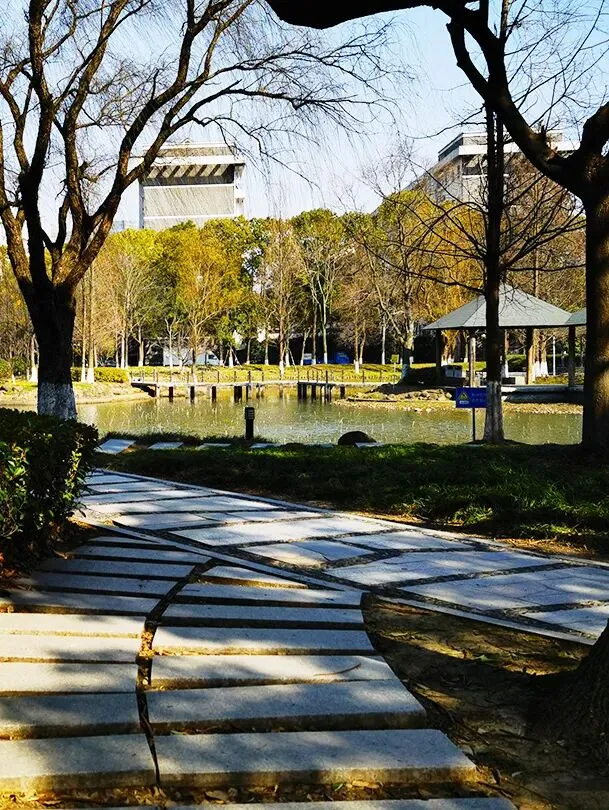 天津中考体育分值和测试项目(附宣传片+健康卡) 第33张