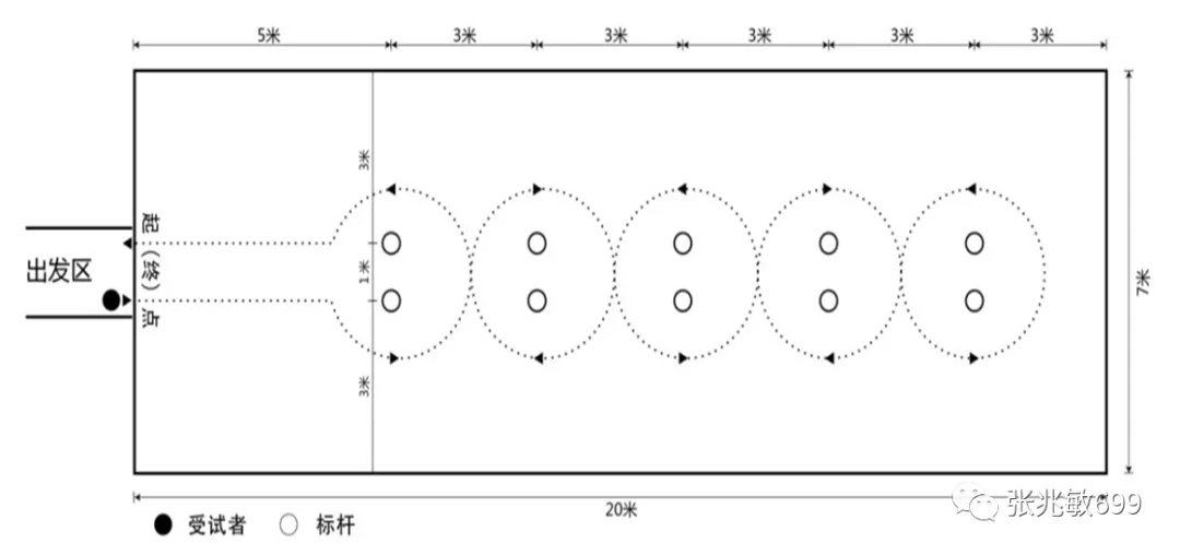 天津中考体育分值和测试项目(附宣传片+健康卡) 第43张