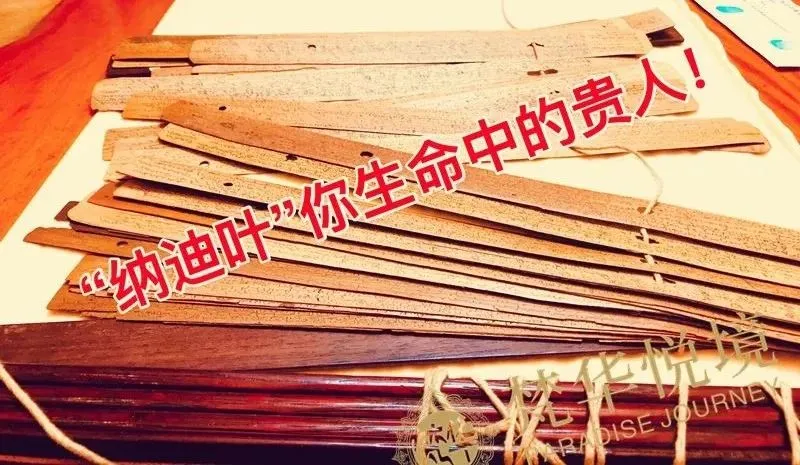 纳迪叶神奇呈现:提前预知身体状况和准确中考分数(641分) 第8张