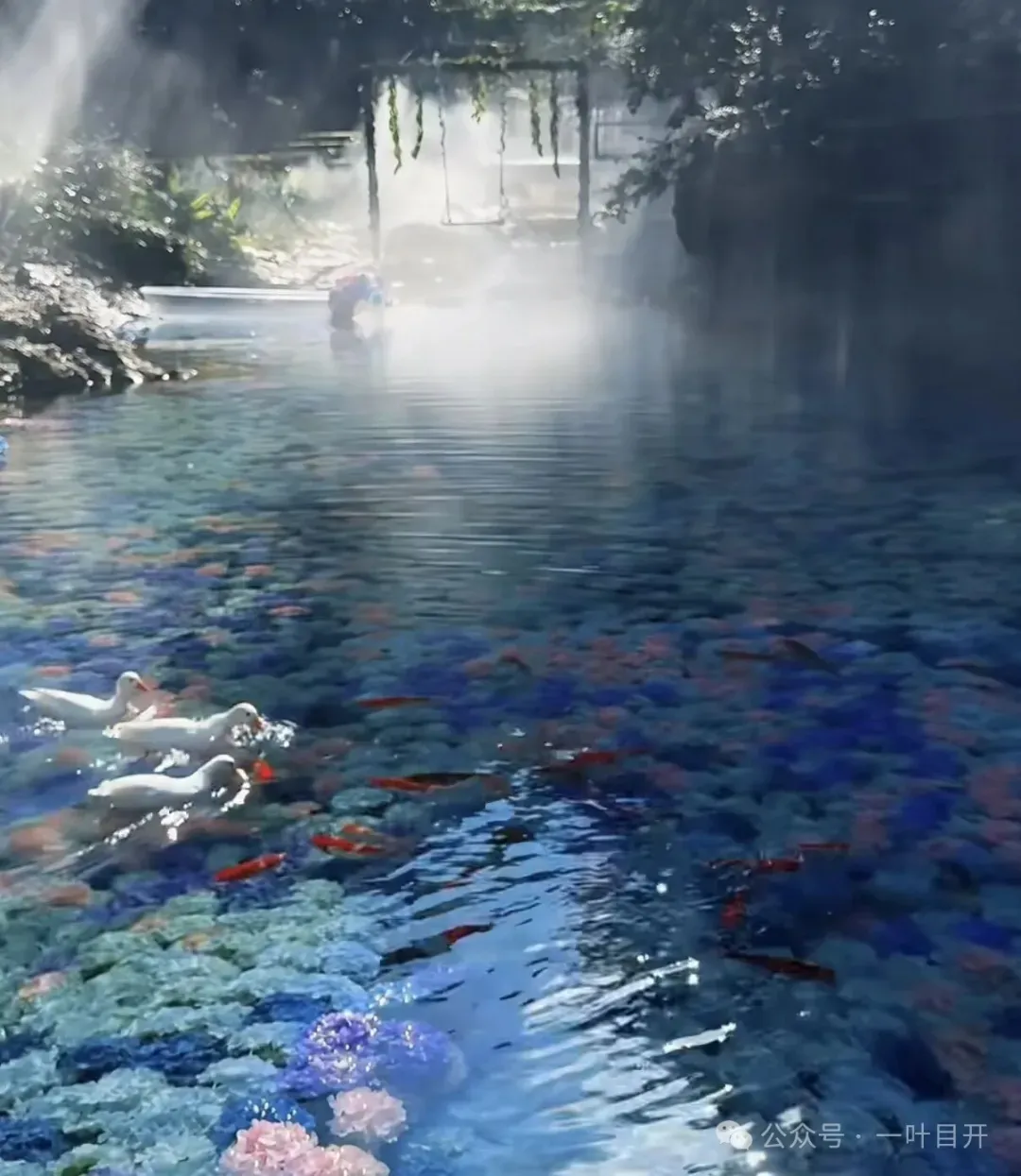 中考726分学霸的四校故事 第2张 中考726分学霸的四校故事 第2张