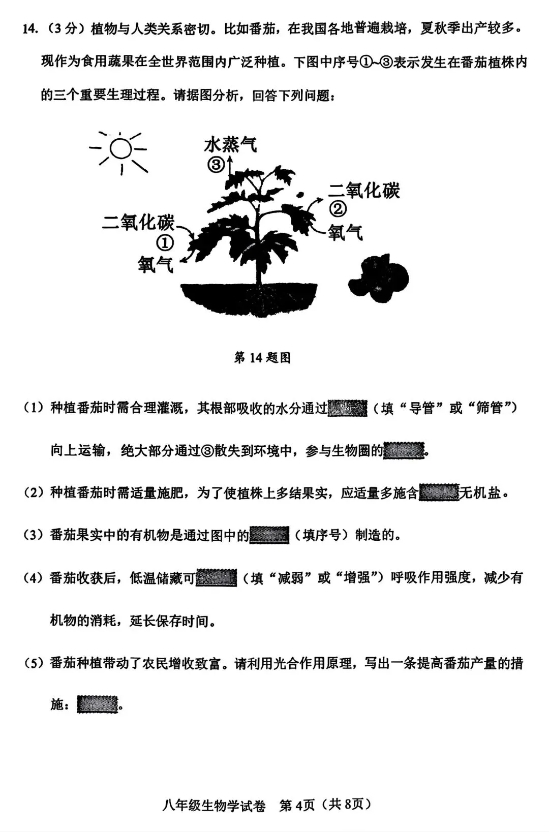 【试卷/小中考】2024-2025辽宁鞍山中考二模生物(含答案)可下载 第4张
