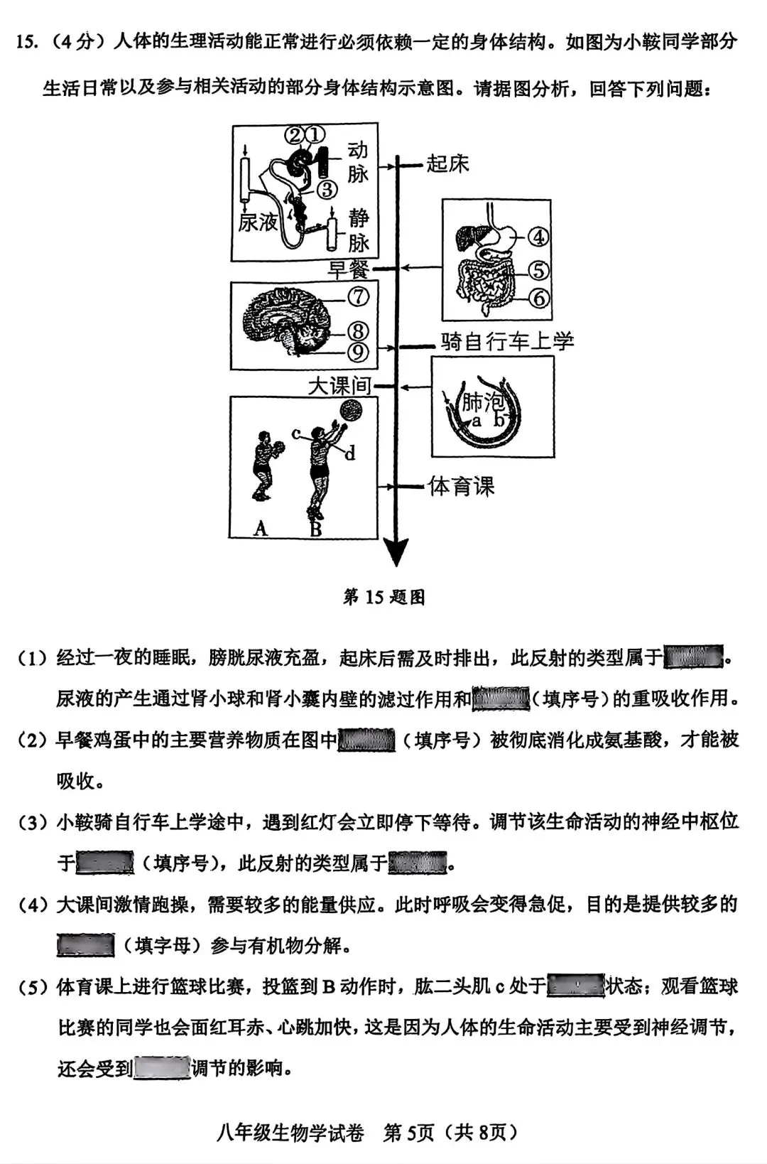 【试卷/小中考】2024-2025辽宁鞍山中考二模生物(含答案)可下载 第5张