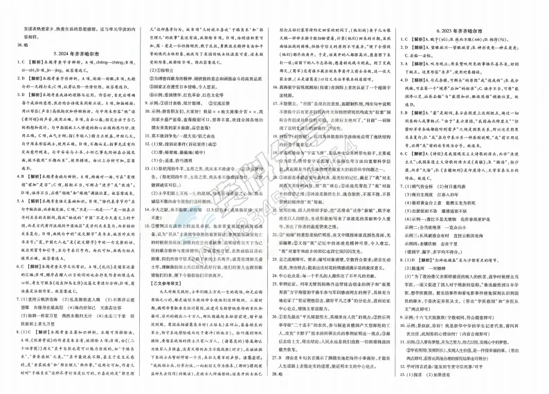2026年中考适用试题精编中考123语文 第7张