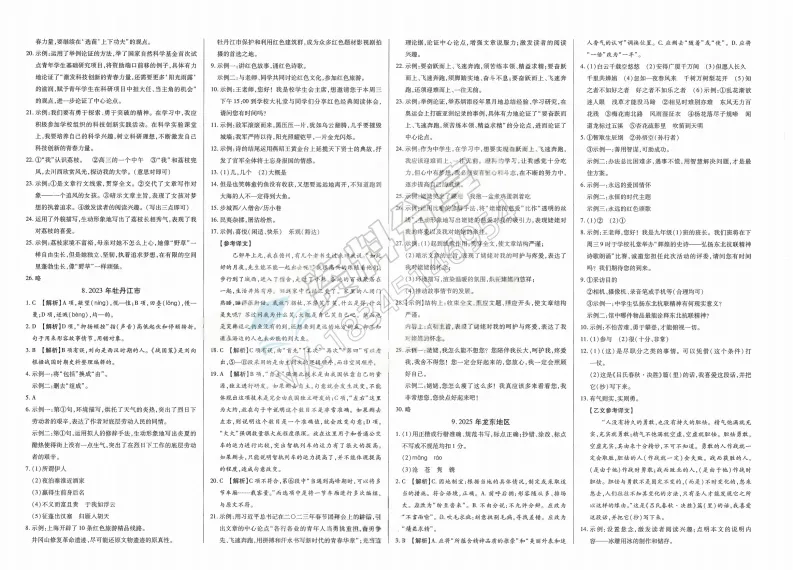 2026年中考适用试题精编中考123语文 第9张