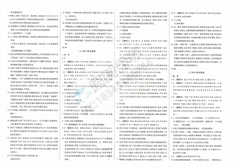 2026年中考适用试题精编中考123语文 第11张