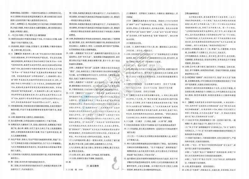 2026年中考适用试题精编中考123语文 第21张