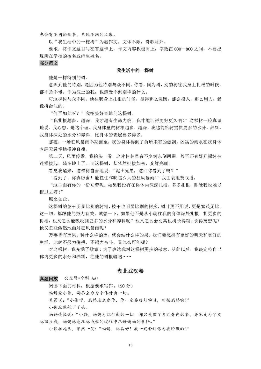 2025初中语文《10年中考作文百题百文》 第20张