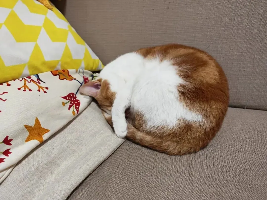 跨越中考的裂痕:2025,我们的和解与重生 第3张