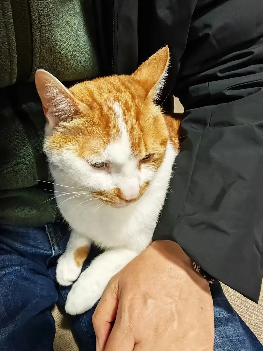 跨越中考的裂痕:2025,我们的和解与重生 第4张