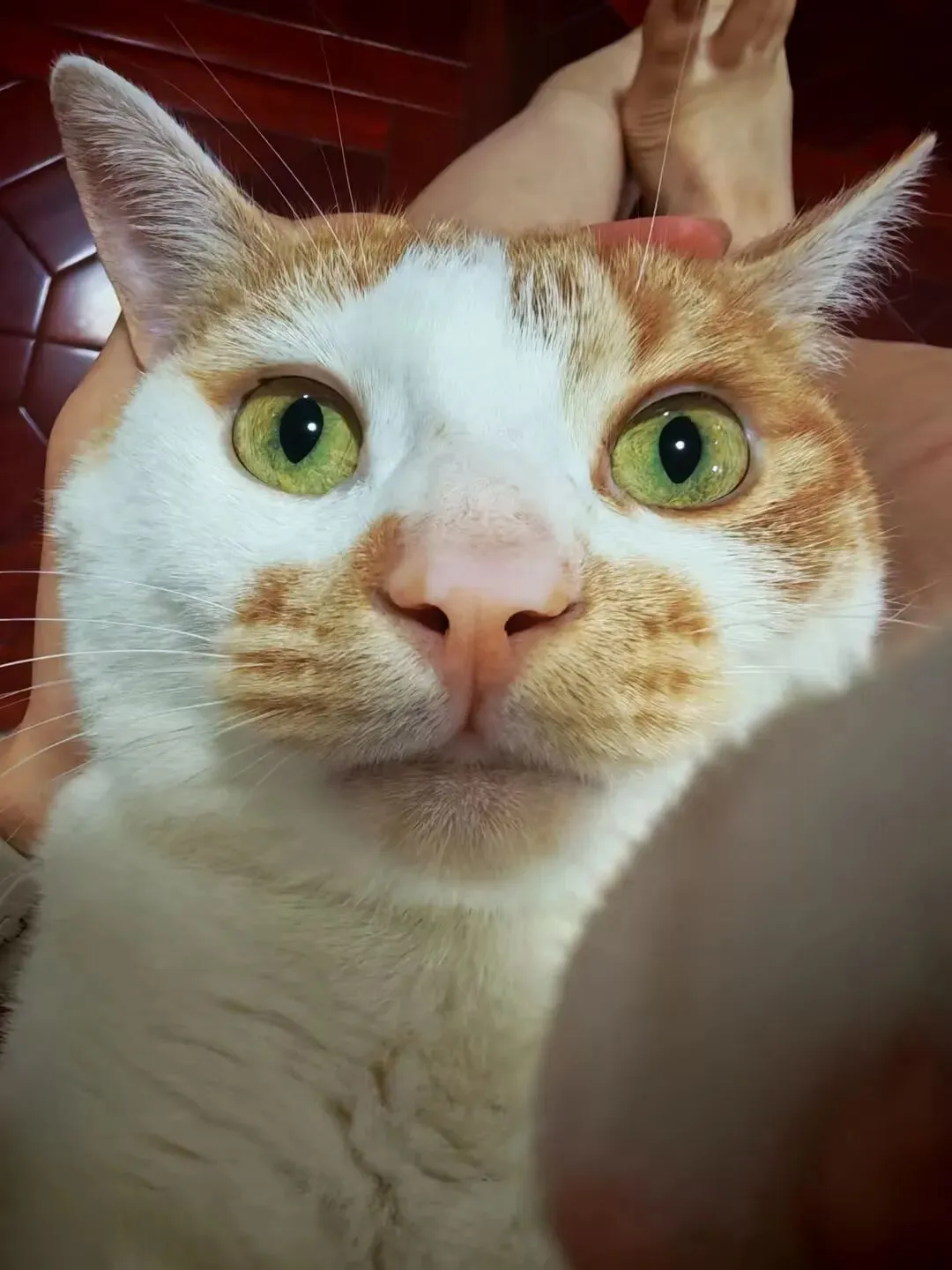 跨越中考的裂痕:2025,我们的和解与重生 第6张