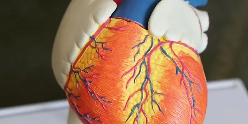 攸县2026年中考政策有变化!总分610分,省示范高中设“入围线”,物理70分、体育50分!家长必读 第4张