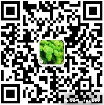 盘点稼轩、振声、海川、济外中考成绩、高中升学率… 第13张