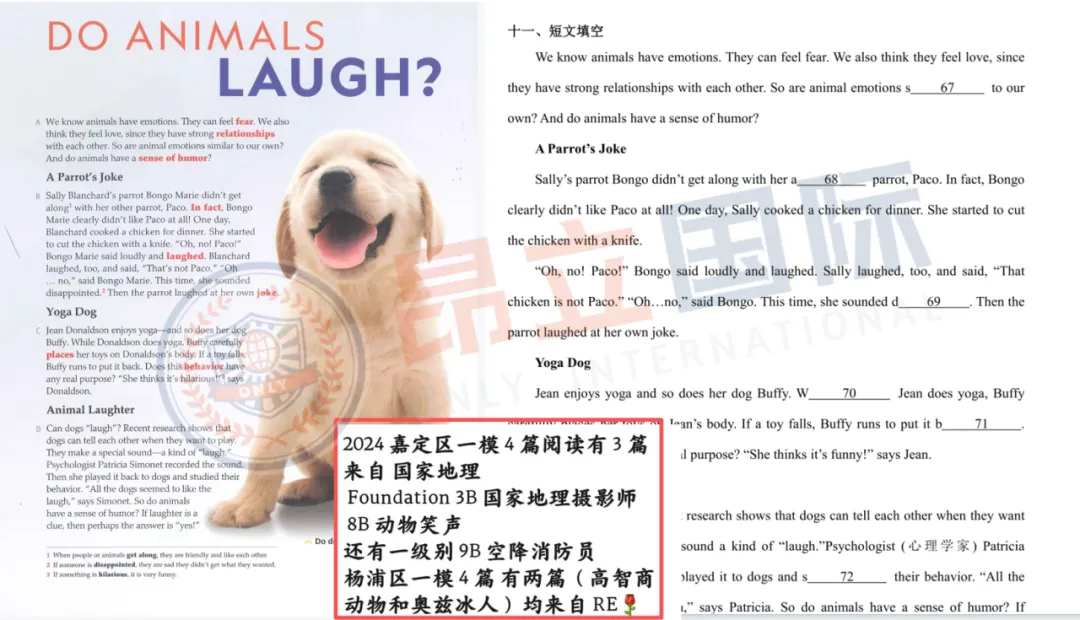 挖到宝藏教材!RE 凭什么成为上海中考小众提分利器? 第7张