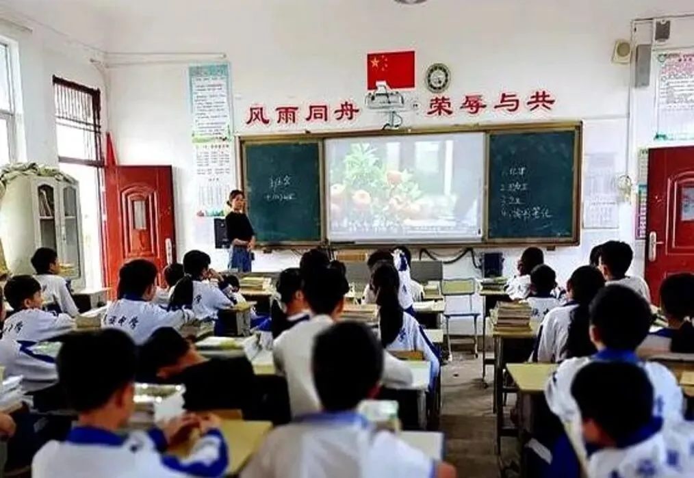 儿子的中考分数出来以后 ,我才明白补课在学习中到底有没有用 第3张