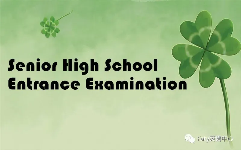 2025年中考英语杭州模拟的完型填空!中考英语练习(四十八) 第2张