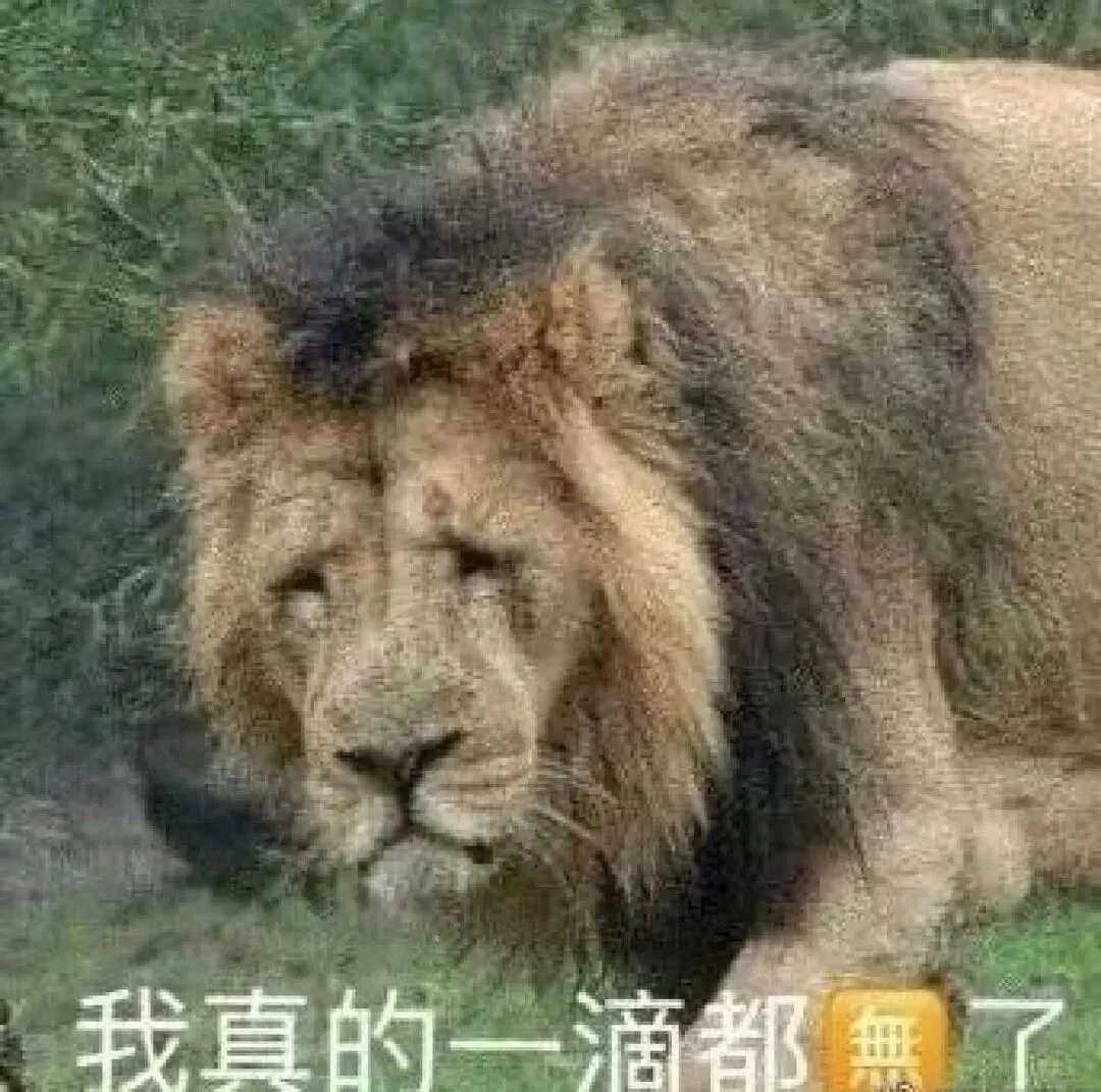 今年中考的不确定性,可能是22年之后最大的 第3张