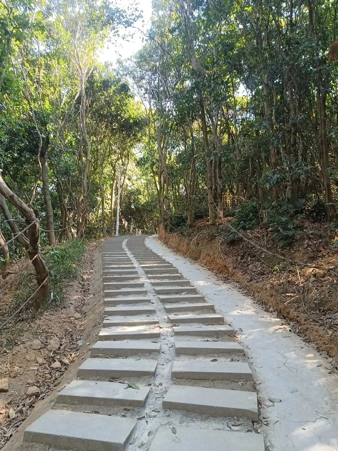 中考语文必须掌握的古诗词文学常识 第5张 中考语文必须掌握的古诗词文学常识 第5张