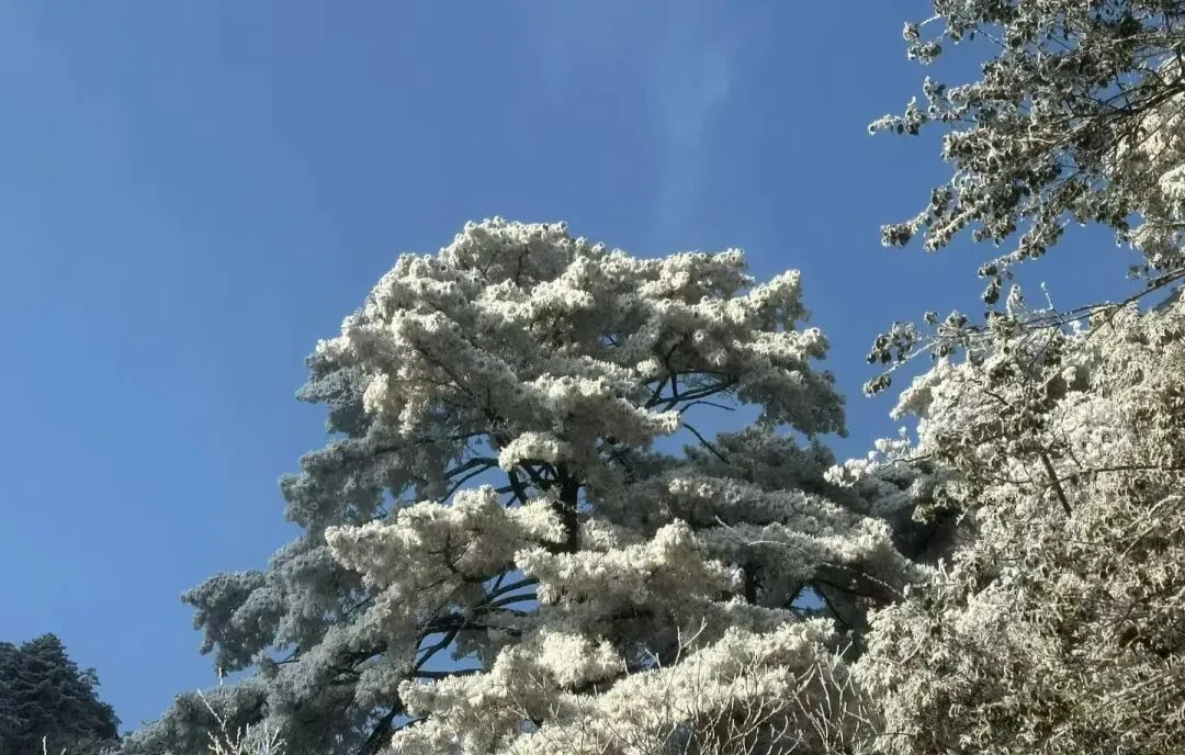 中考语文必须掌握的古诗词文学常识 第9张 中考语文必须掌握的古诗词文学常识 第9张