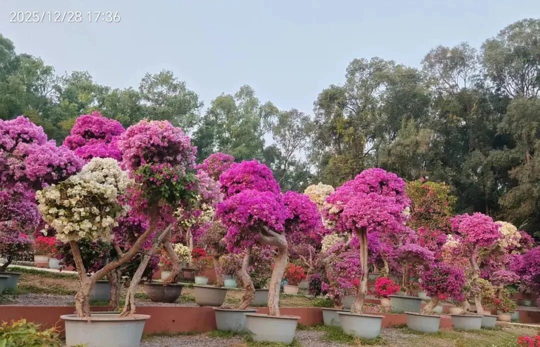 中考语文必须掌握的古诗词文学常识 第12张 中考语文必须掌握的古诗词文学常识 第12张
