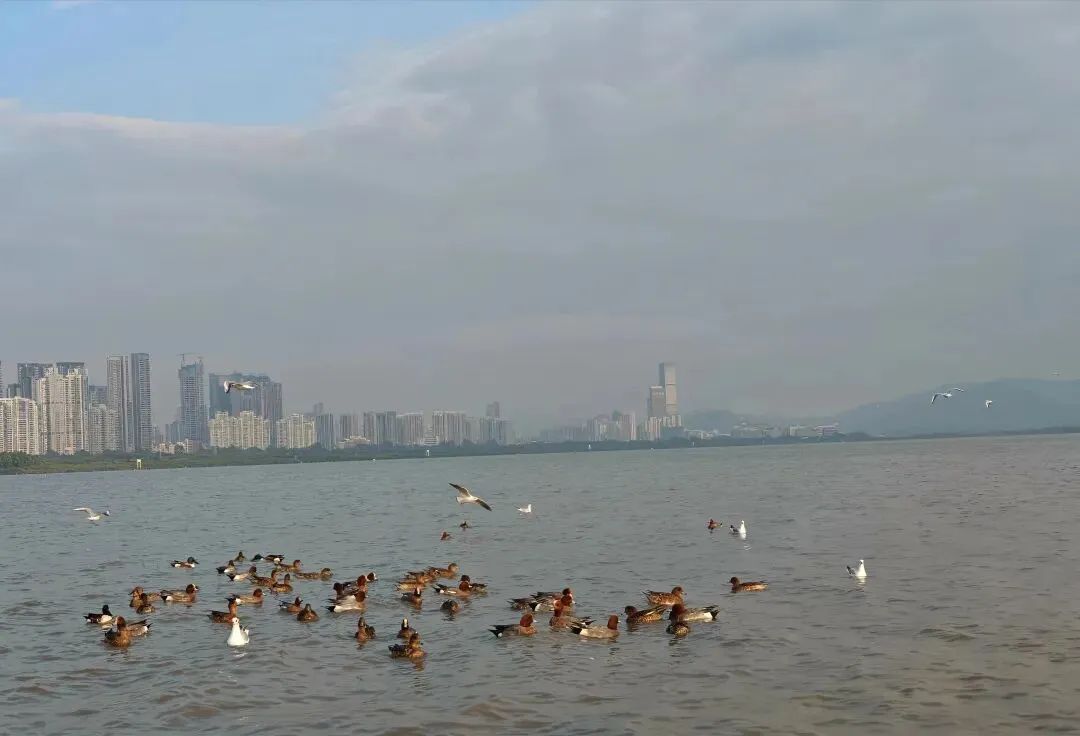 中考语文必须掌握的古诗词文学常识 第13张 中考语文必须掌握的古诗词文学常识 第13张