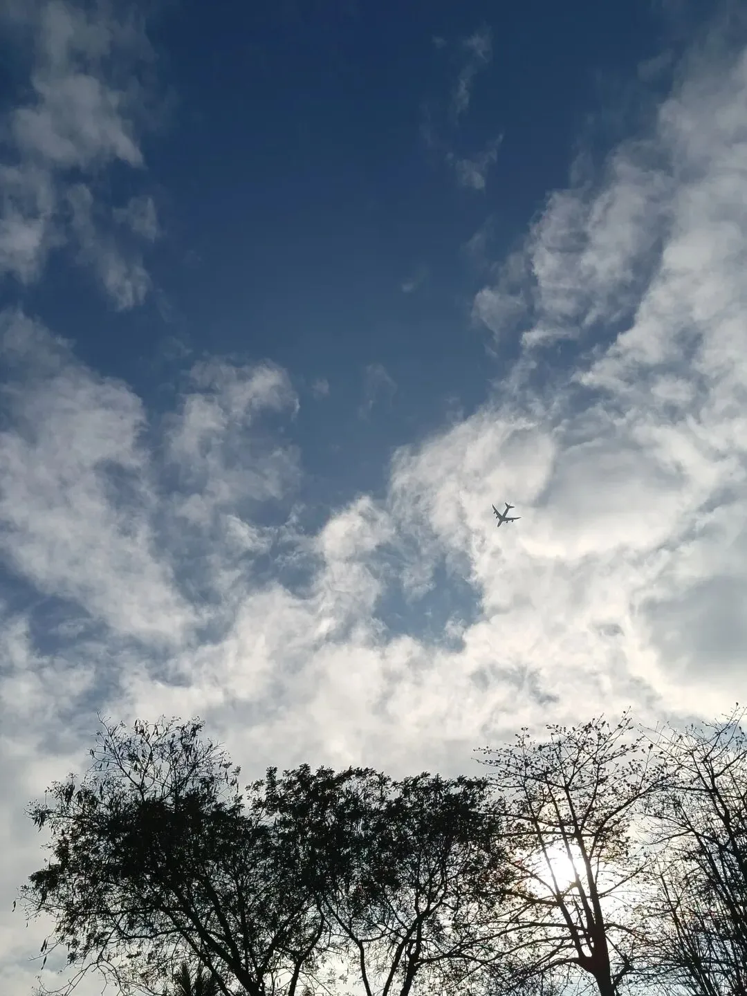 中考语文必须掌握的古诗词文学常识 第15张 中考语文必须掌握的古诗词文学常识 第15张